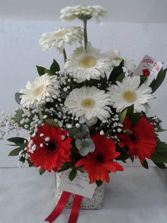 Gerbera Aranjman�