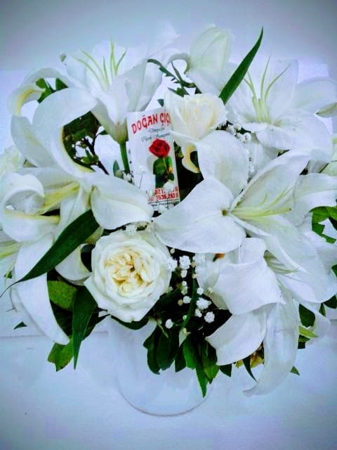 Seramiksaks� Lilyum Aranjman