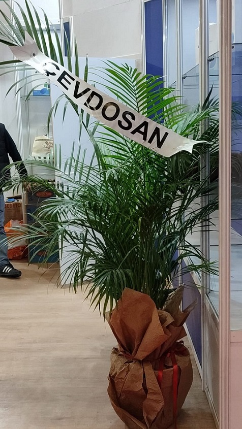 B�y�k Areka Fuar Biykisi