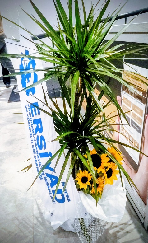 Marginata Bitkisi Ay�i�e�i Aranjman�