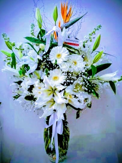 L�x Aranjman �i�ek