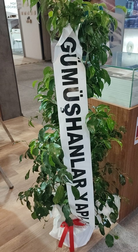 100 Cm Benjamin Bitkisi